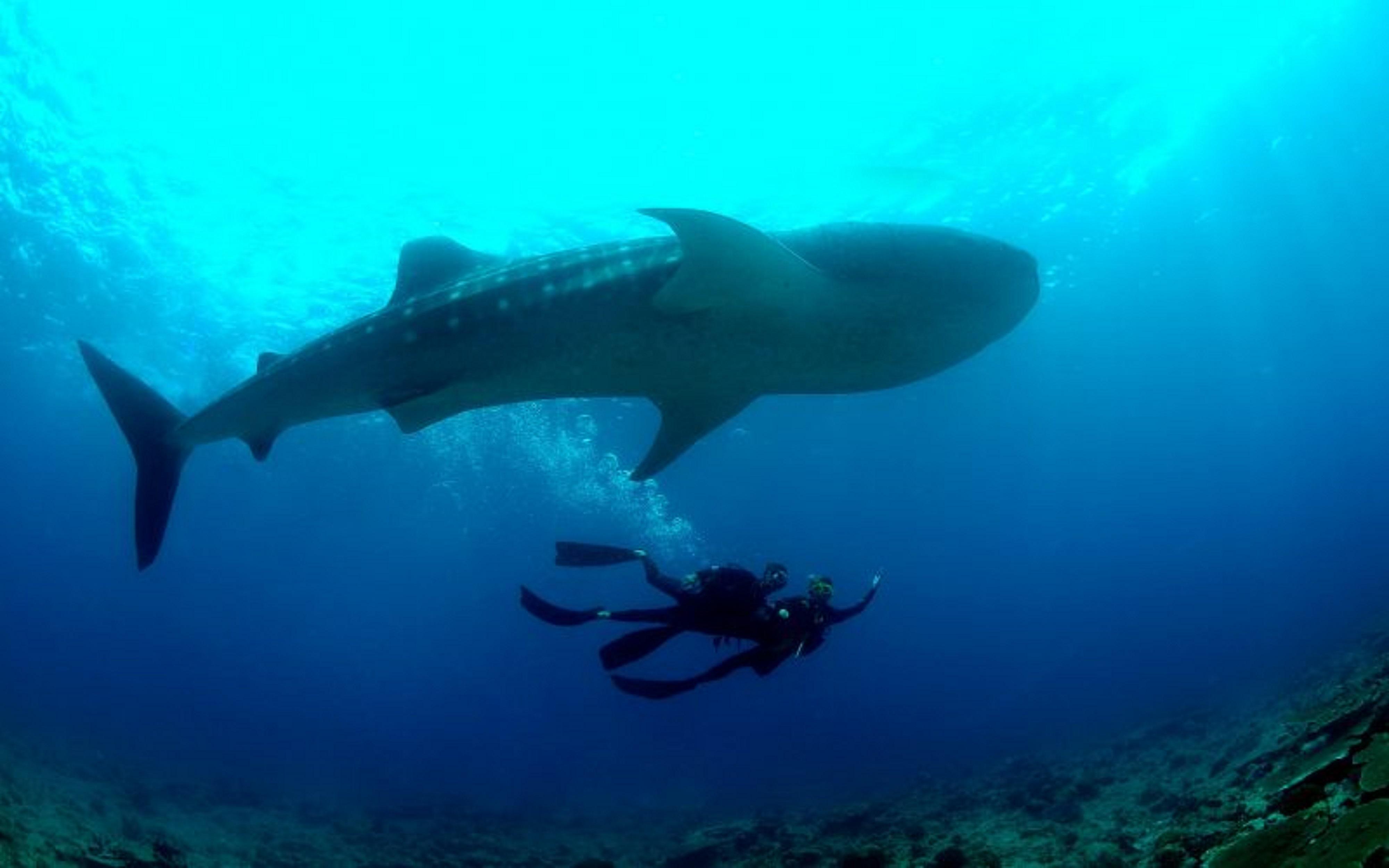 Baglioni Resort Maldives Meedhoo  Εξωτερικό φωτογραφία